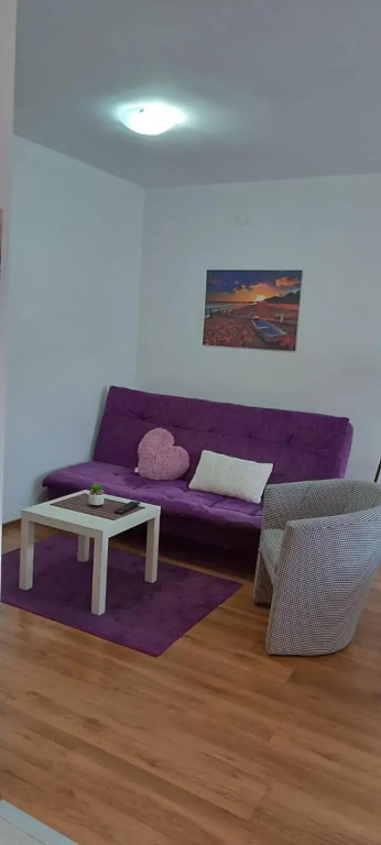 Splendid Two Bedroom Apartment Anastas Mitrev 25