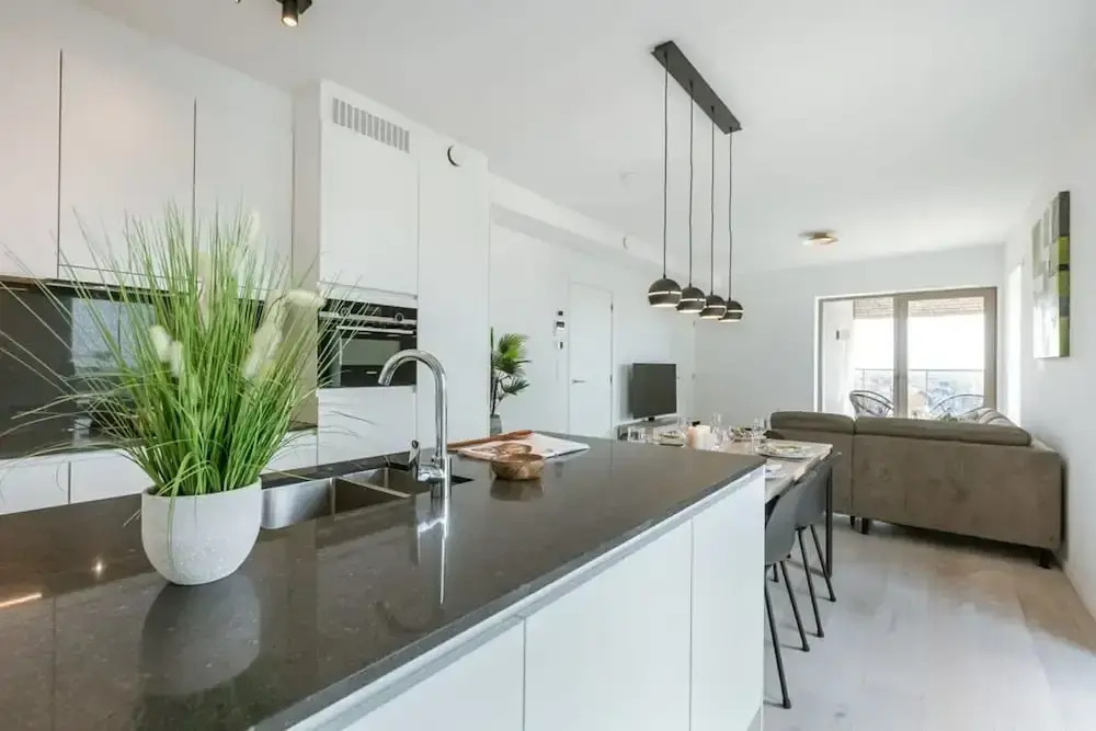 Modern Apartment With Sunny and Large Terrace