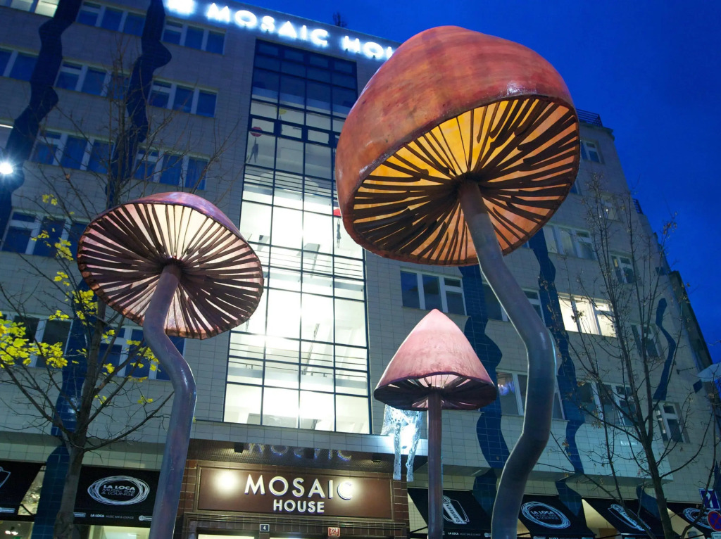 MOSAIC HOUSE Design Hotel