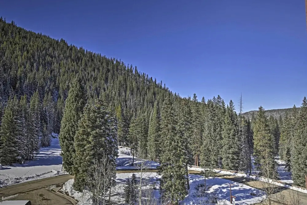 Cozy Ski-in/out Winter Park Studio w/ Hot Tubs!
