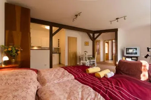 Apartment Andre
