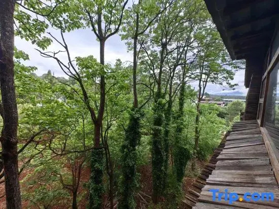 Lijiang junayuanzhu Homestay