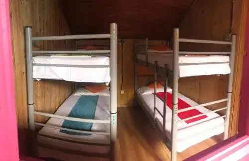 Flamingo Hostel Costinesti