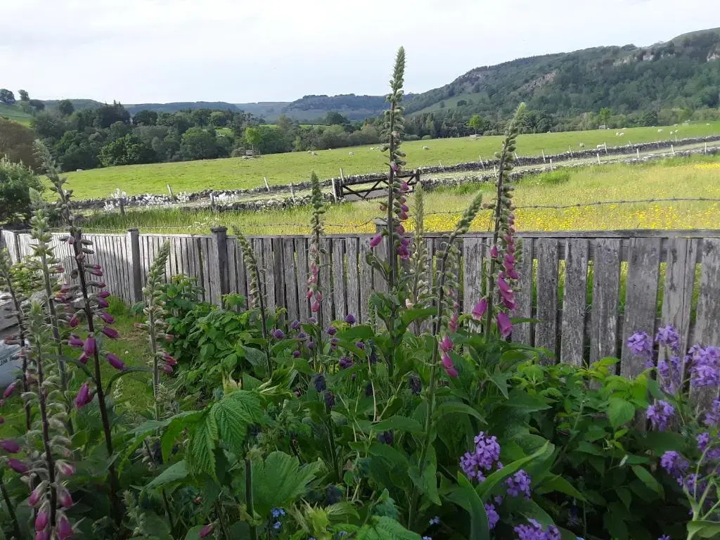 Ellerton Lodge Bed and Breakfast Swaledale