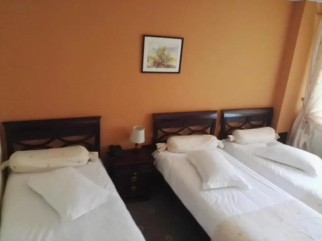 Motel Bucium
