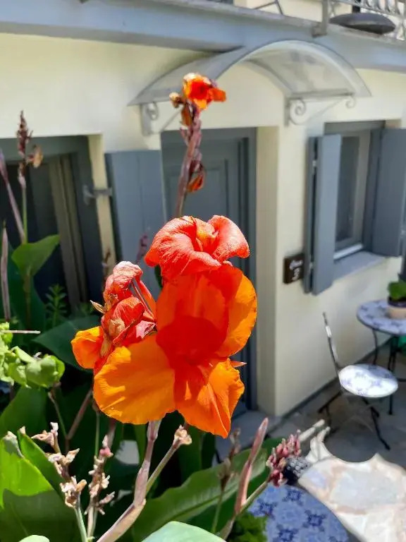 Arxontiko Hotel