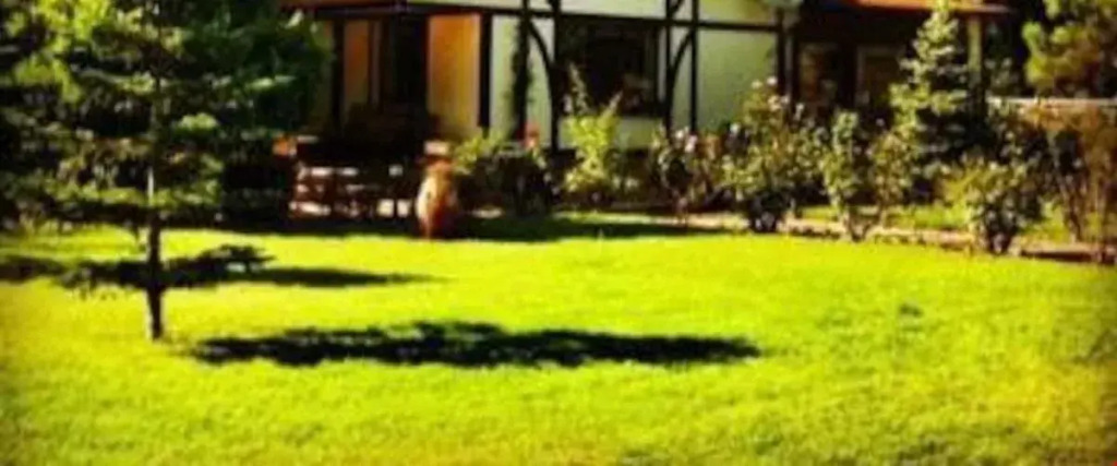 villa riva garden