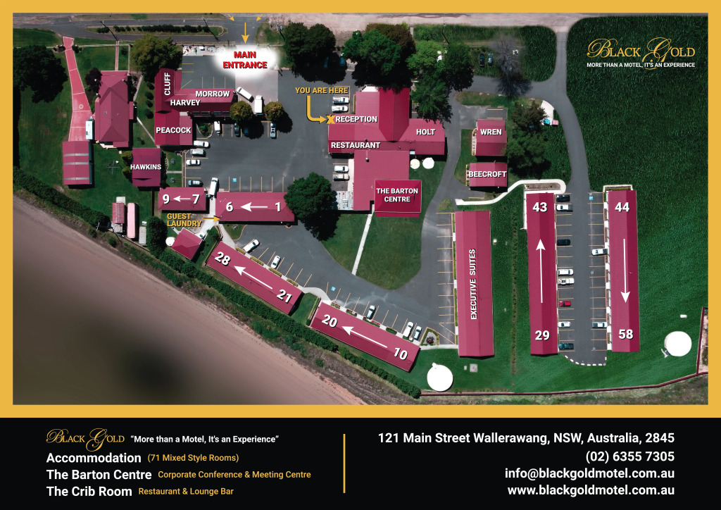 Black Gold Motel