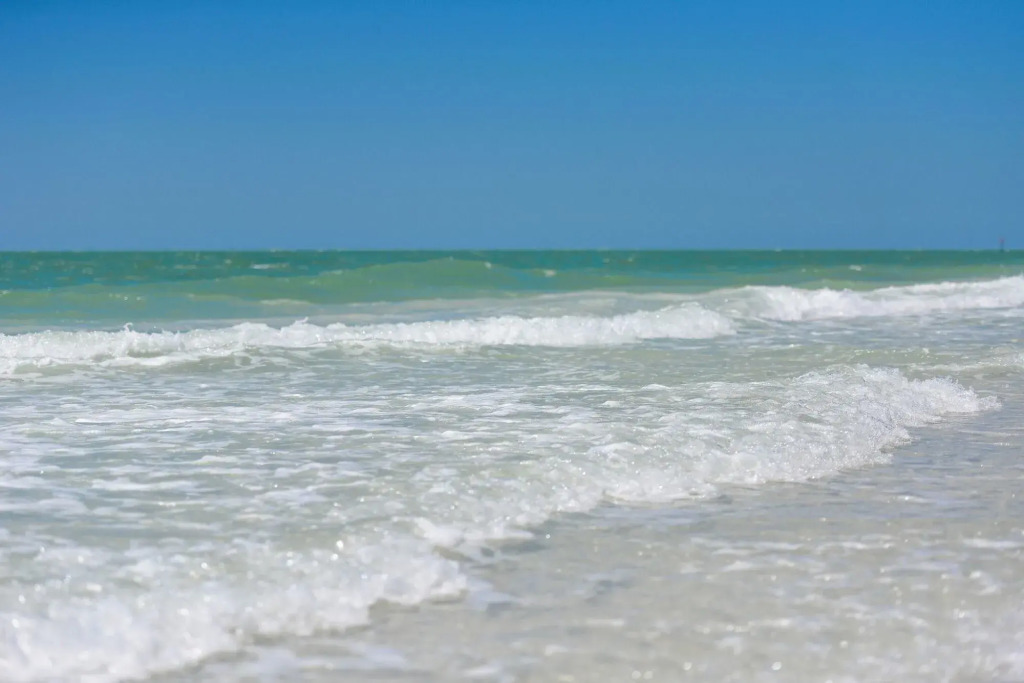 Coastal Surfside By Beachside Management
