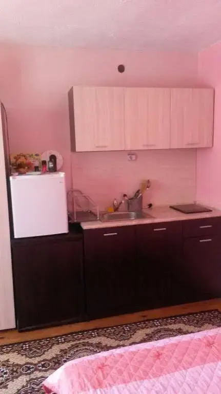 Elena Guest House