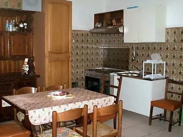 l'oleandro