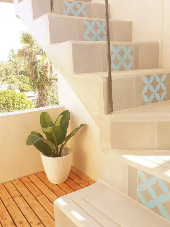 Baja House