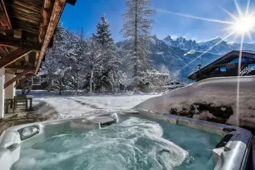 Chalet Capricorne