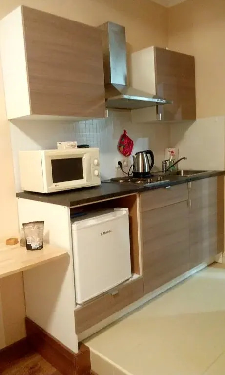 Vidovaya Kvartira Apartments