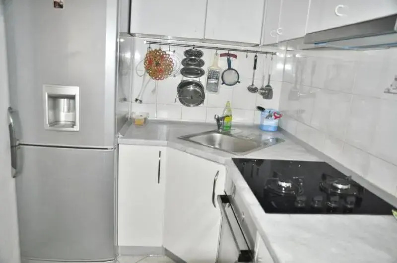 Apartment Viki