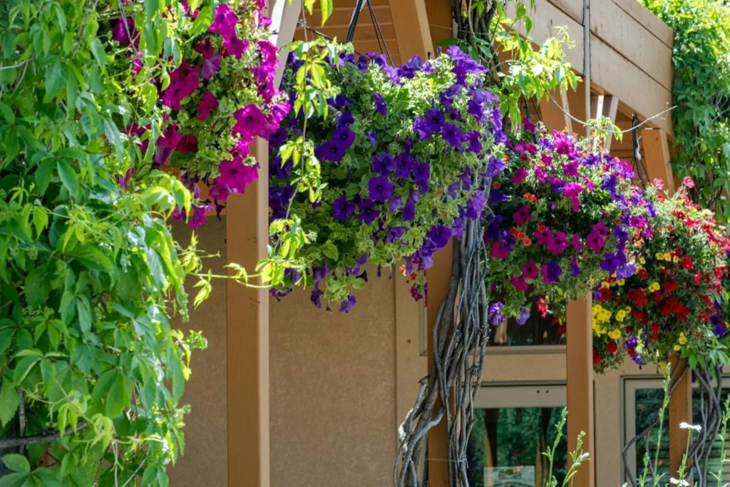 Flying Saddle Resort and Steak House