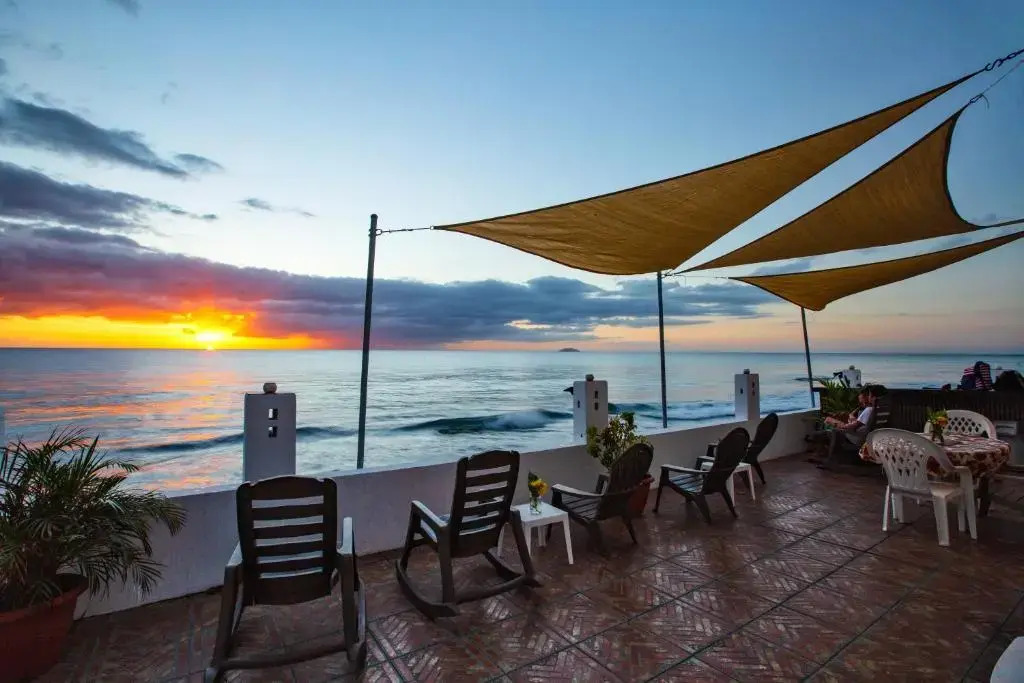 Coconut Palms Rincon