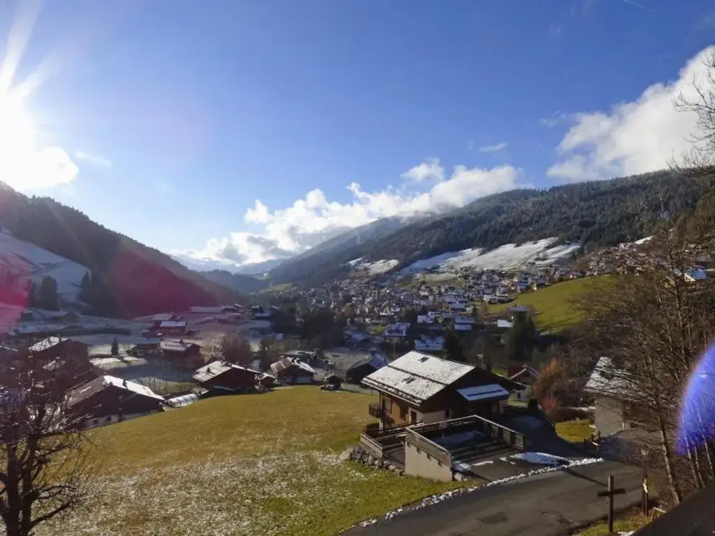Appartement Le Grand-Bornand, 2 pièces, 6 personnes - FR-1-458-149