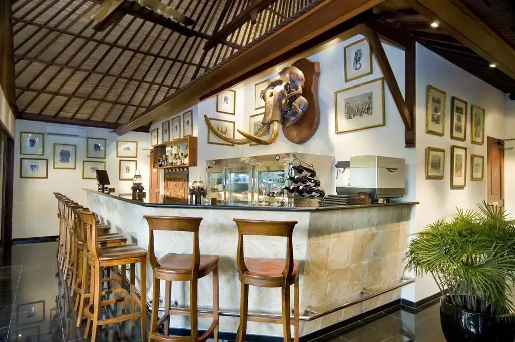 Mason Elephant Lodge