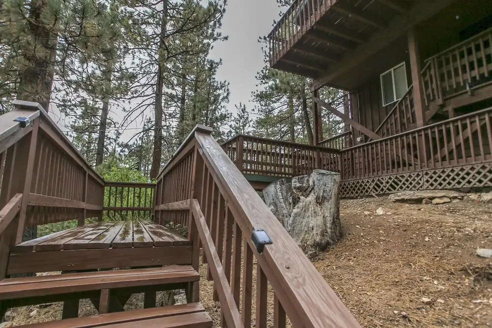 Treetop Retreat