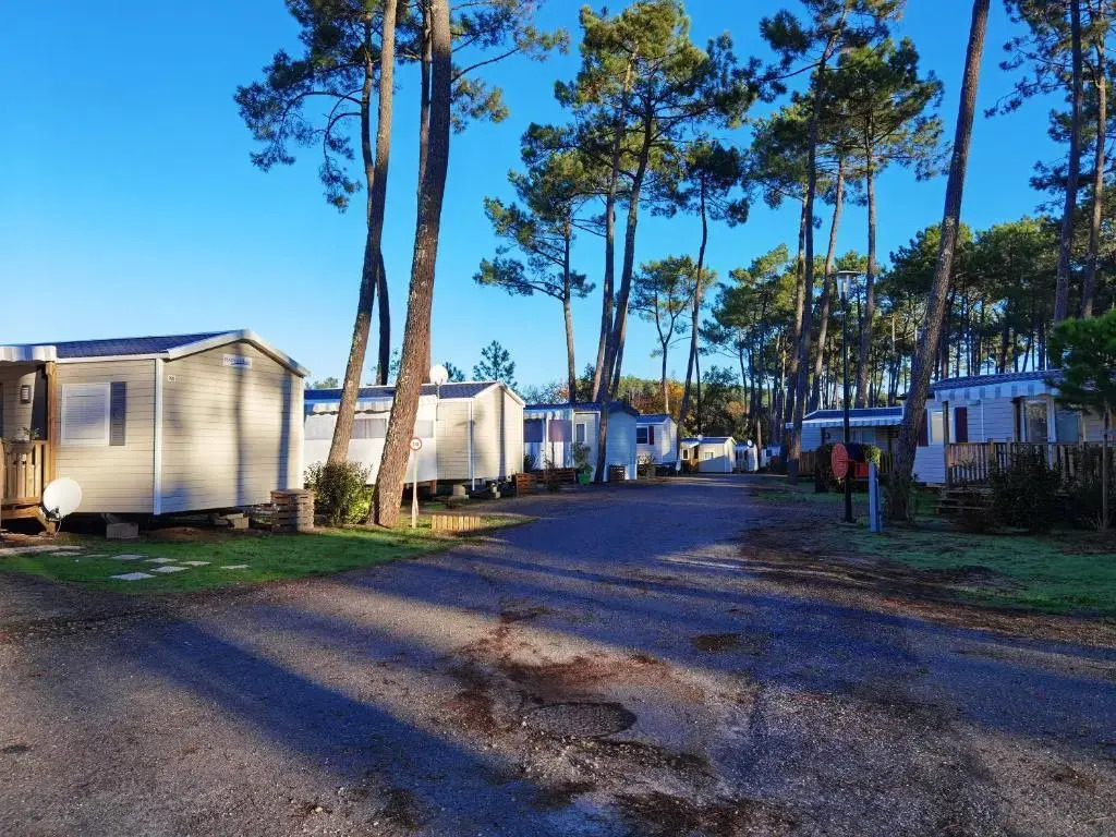 Bungalow de 2 chambres avec piscine partagee jardin amenage et wifi a Saint Julien en Born a 4 km de la plage