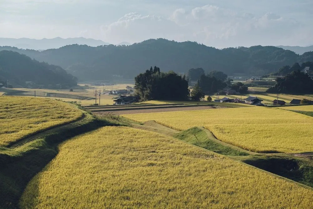 Setouchi Cominca Stays Hiroshima Chojaya