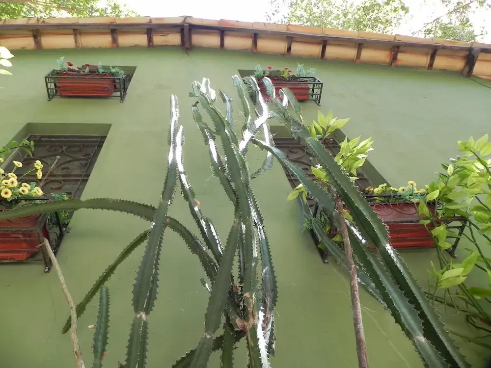 Pousada Éden - Conforto, Imersão e Natureza
