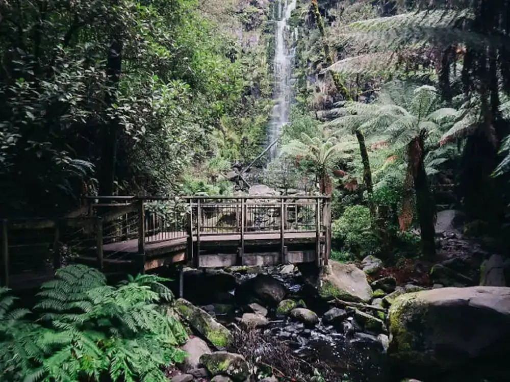 Whispering Gums Lorne Ocean Views Pet Friendly EV Charger