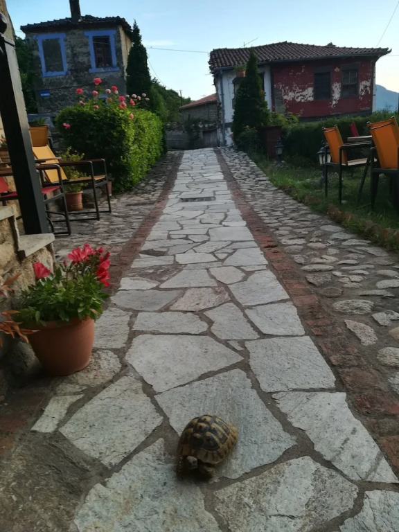Archontiko Mesohori Meteora