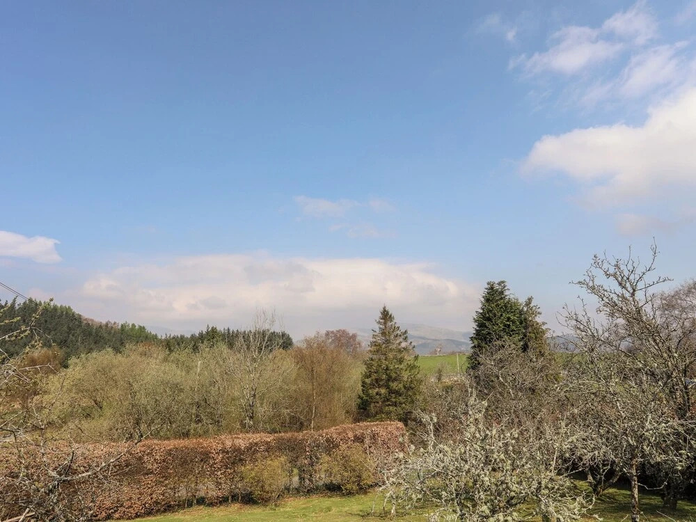 Gilfachwydd
