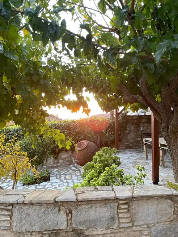 Fotini's House