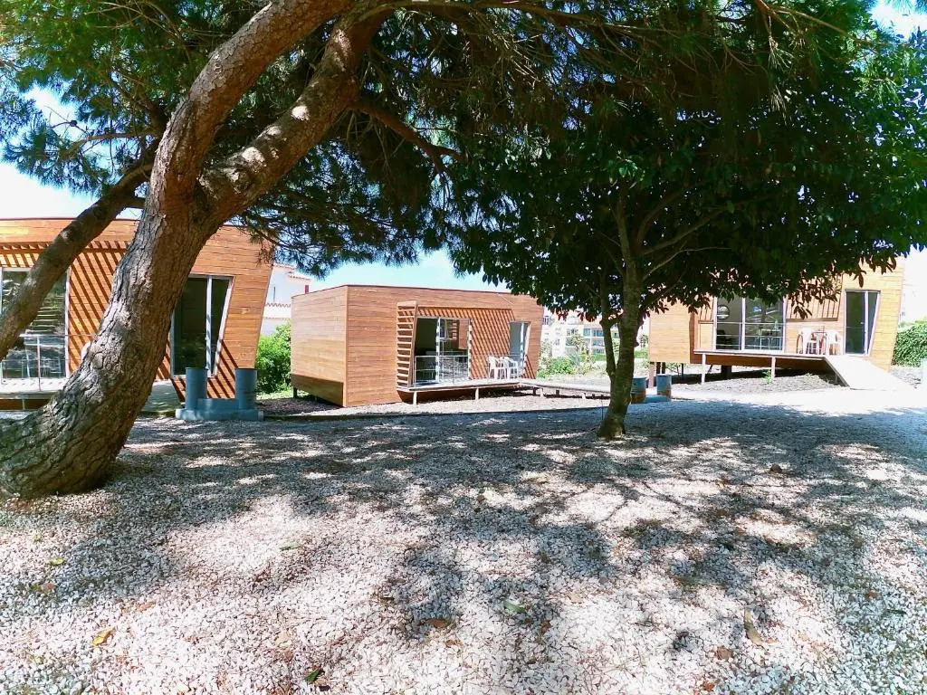Golden Halcyon - Ericeira Villas
