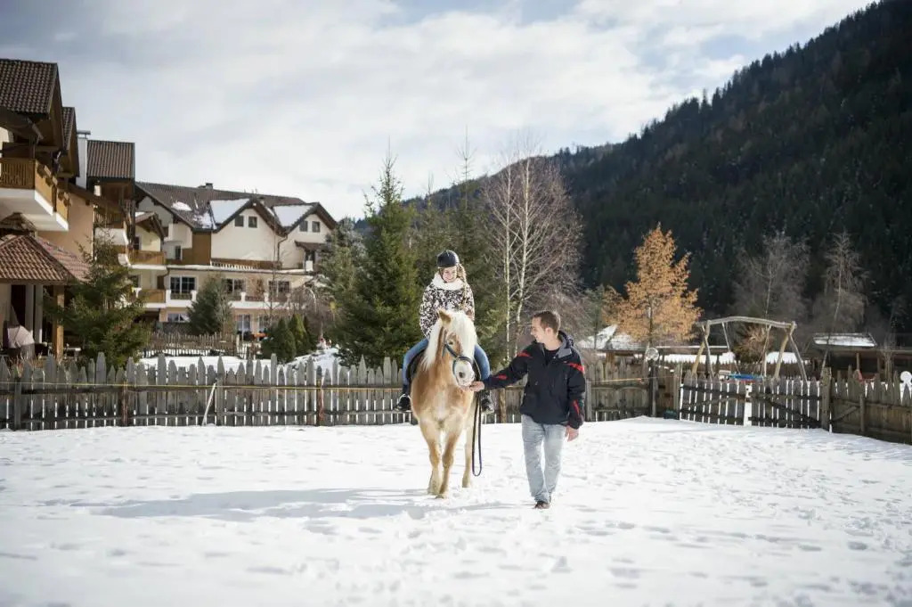 Alphotel Tyrol