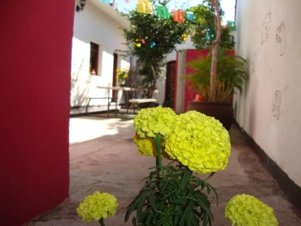 Hotel Posada Yagul