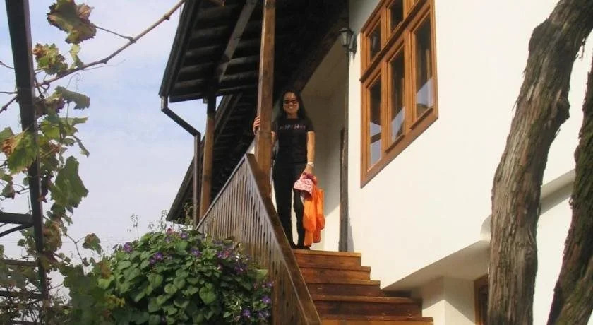 Hostel Mostel