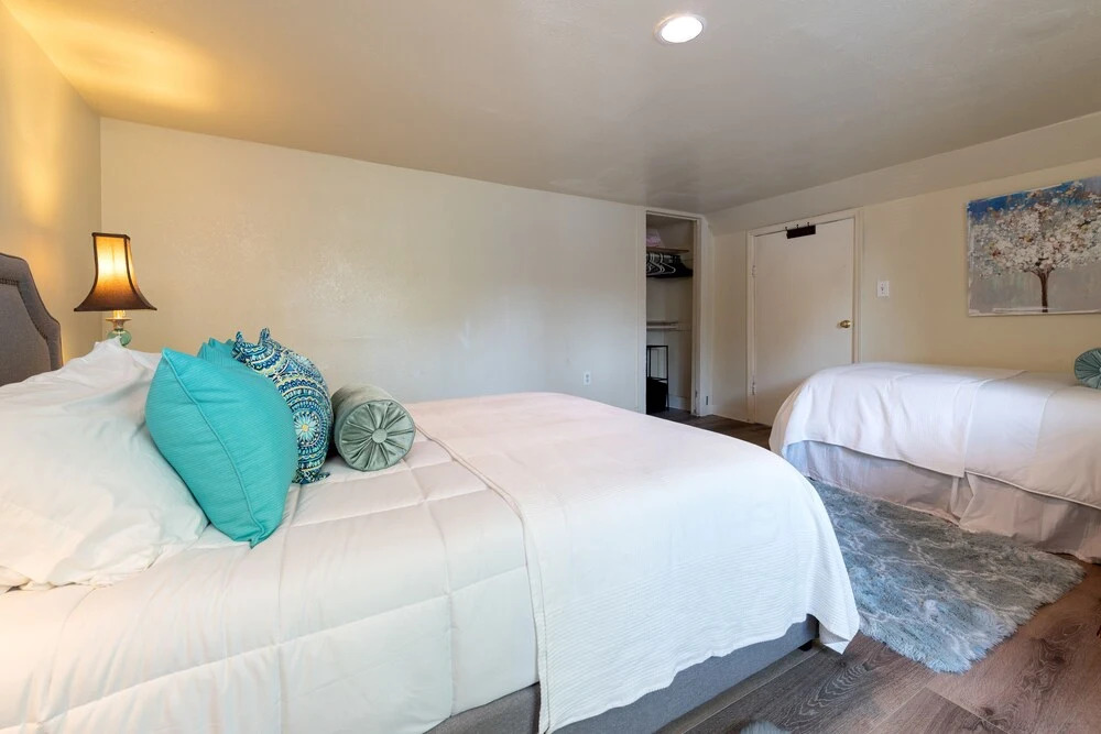 Bright & Spacious One Bedroom Apartment
