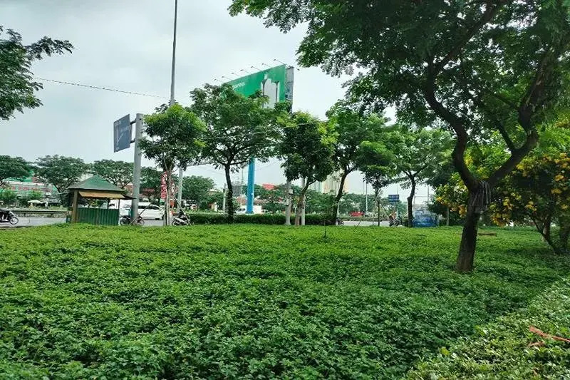Hai Quynh Hotel