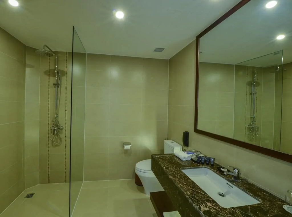 Aristo International Hotel