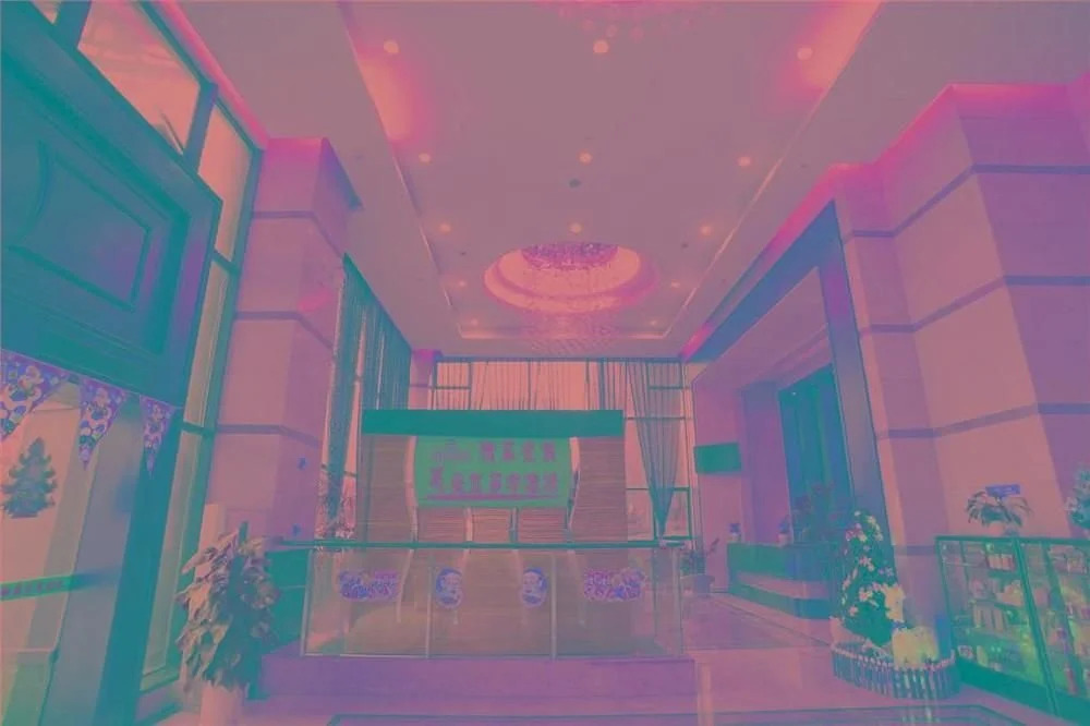 Xinglu  Hotel