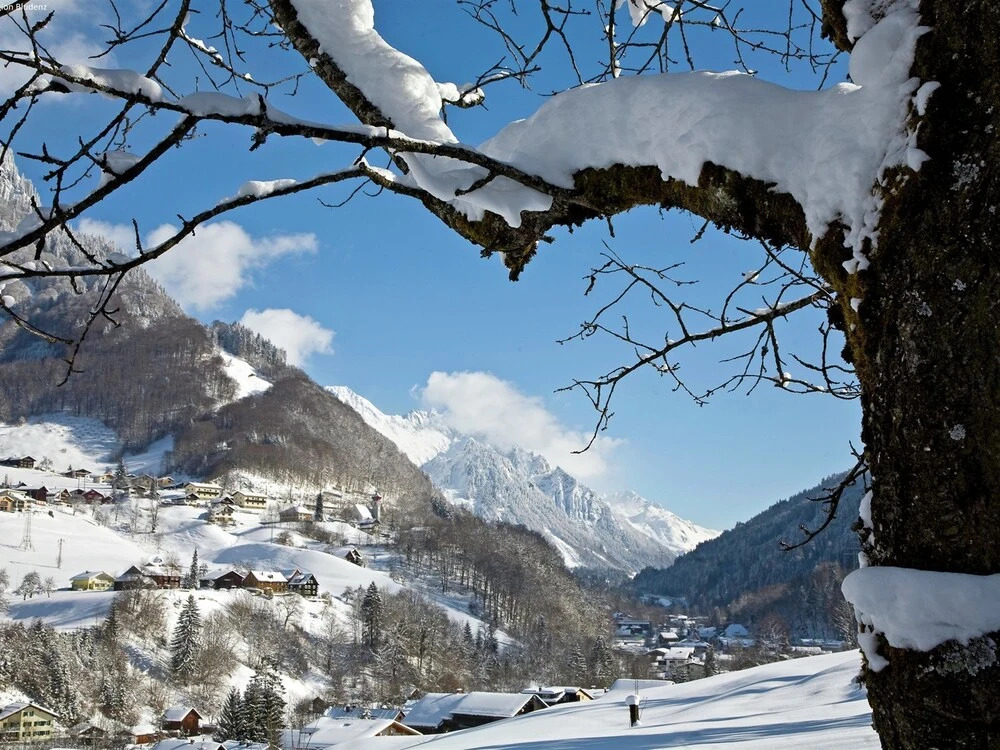 Nice Apartment at Sonnenkopf in a Natural Paradise