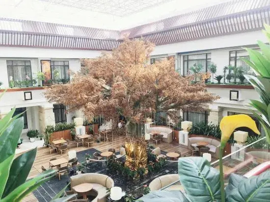 Amber Theme Hotel