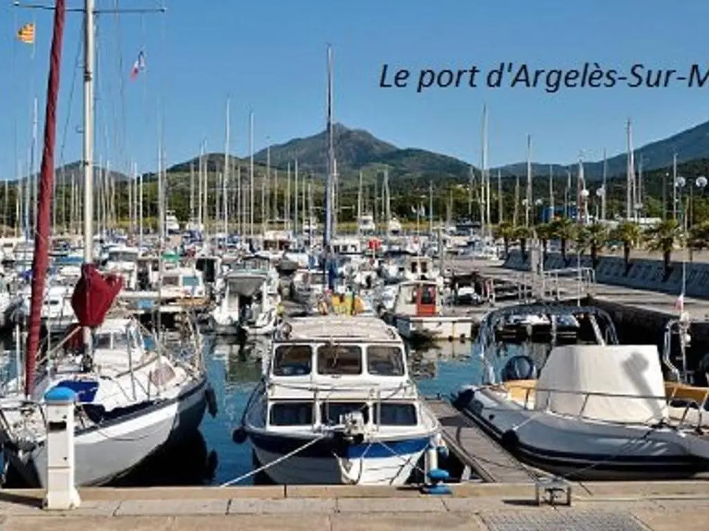 Appartement Argelès-sur-Mer, 2 pièces, 4 personnes - FR-1-225-714
