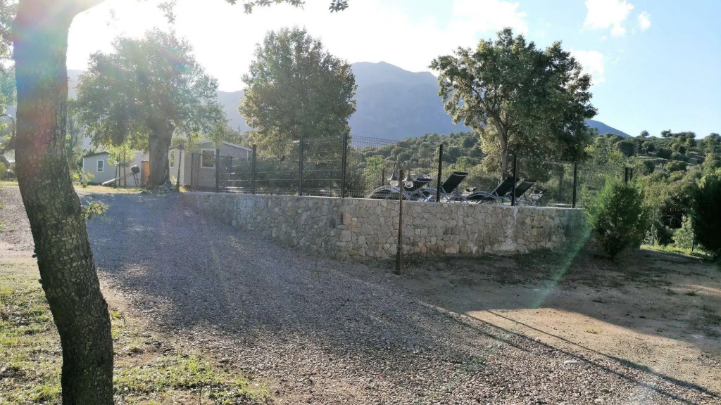 E Canicce
