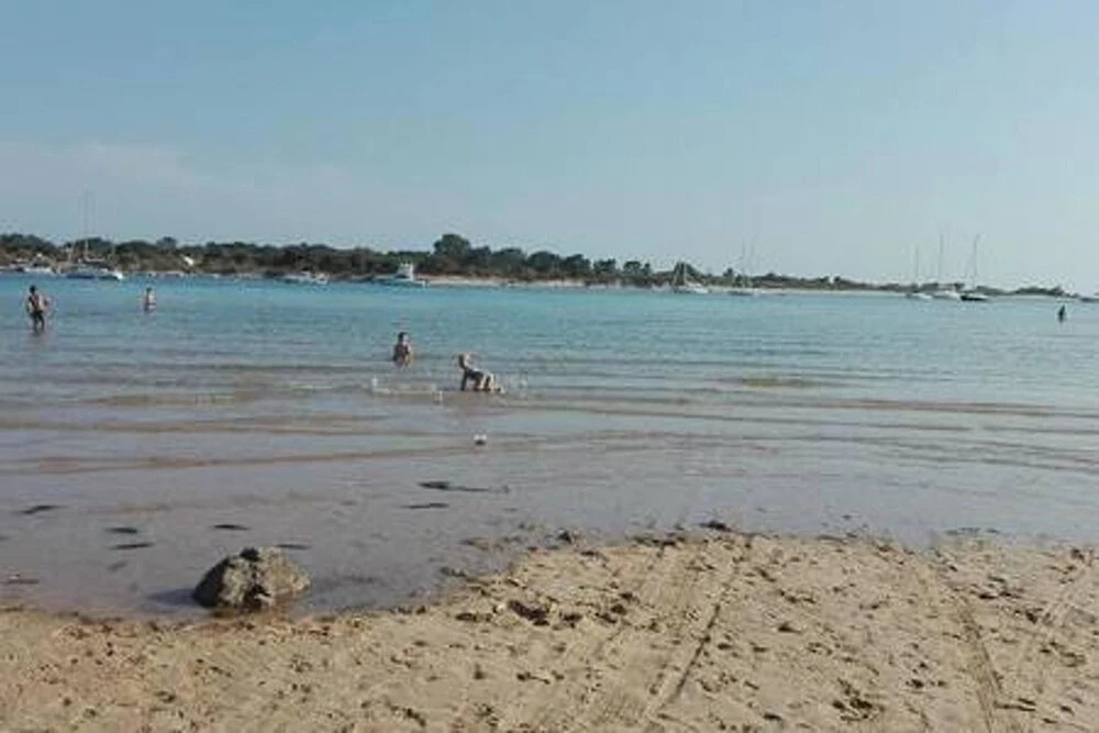 Studio in Albufeira, With Pool Access and Enclosed Garden - 3 km From
