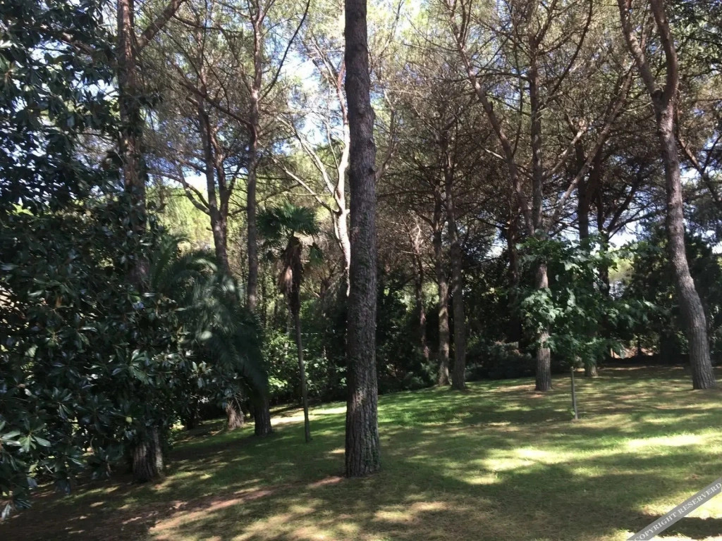 Villa il Parco