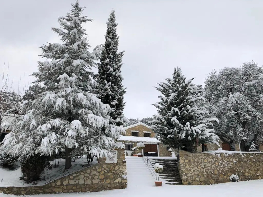 Collados de la Sagra