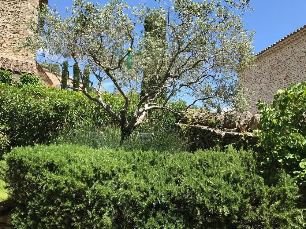 Le Moulin des Sources