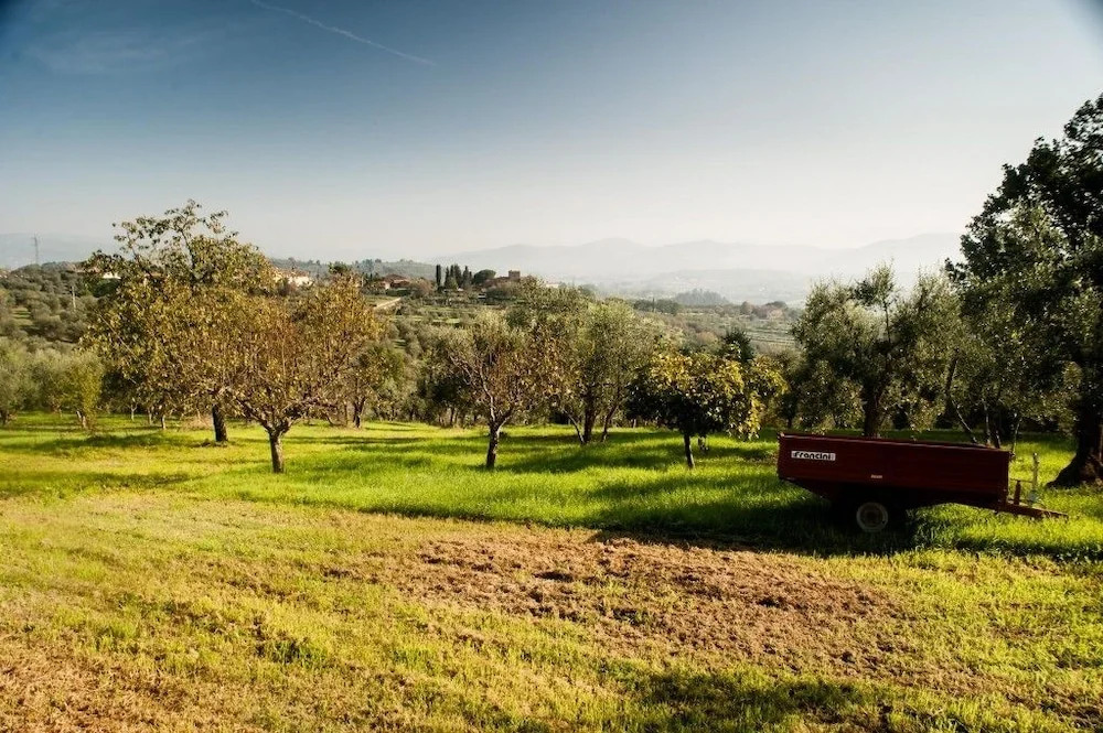 Podere Scaluccia