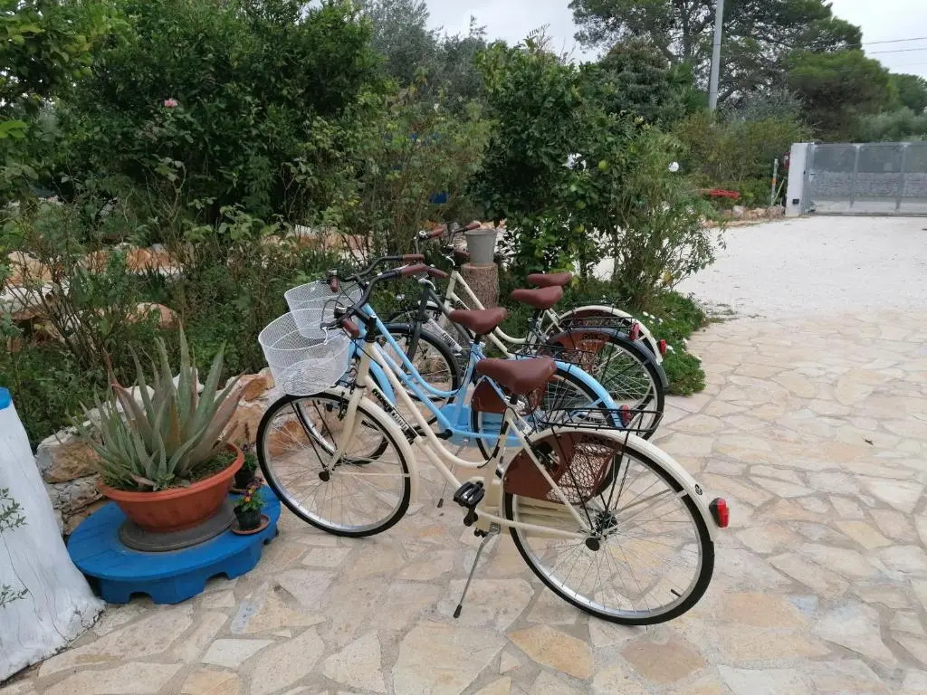 B&B Oceano
