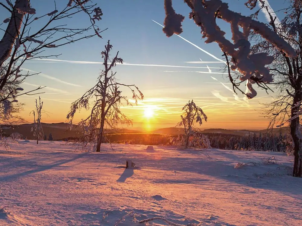 Modern Apartment on a 10-minute Walk From Winterberg